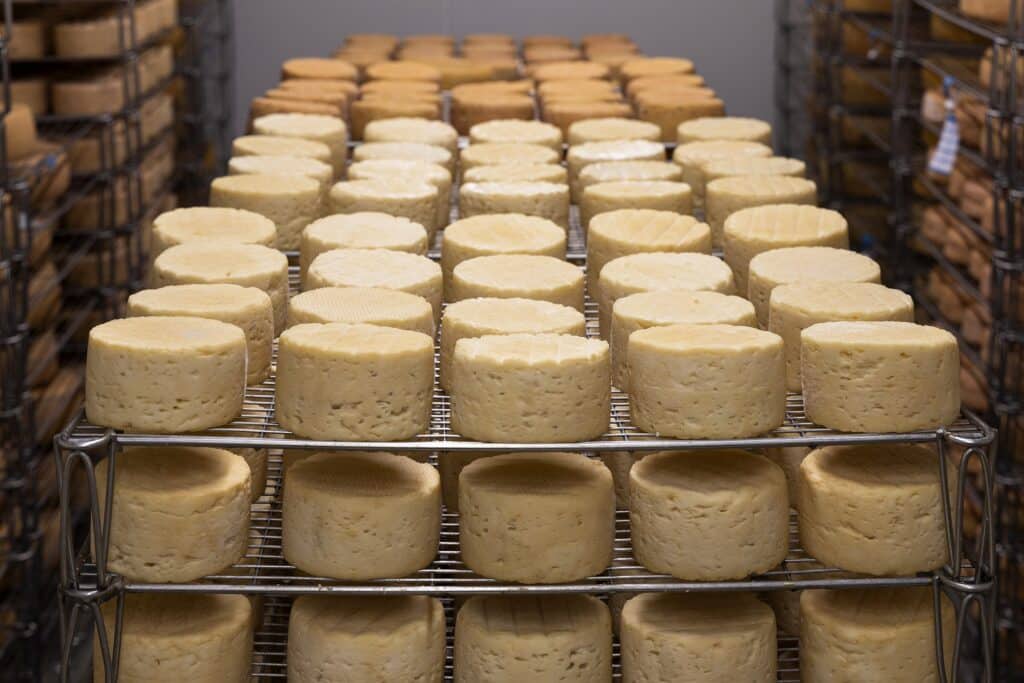fromagerie-fromage